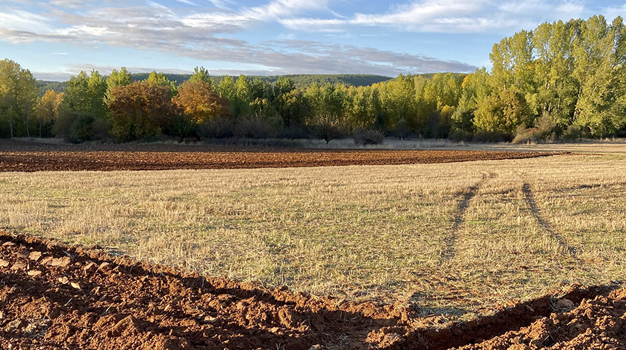 Me quiero ir a vivir a un pueblo… ¿y ahora qué? A{2h}de te da las claves
